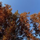 큰마당 오토캠핑장 | [논산] 큰마당오토캠핑장 솔직후기