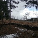 정의골 교차로 1 이미지