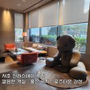 신라스테이 | 서초 신라스테이 후기 / 깔끔한 객실 · 좋은 위치 · 로즈타운 감성