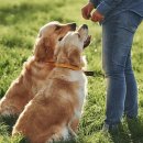 하나가축약품 이미지