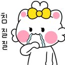 생돈도야