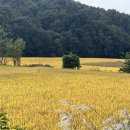 태강철강 | 대구 군위 여행 < 군위 사유원 > 군위 비밀의 정원