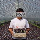 황미숙 펜션 이미지