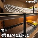 블루보트게스트하우스경주점 | 경주 가성비 숙소 블루보트 (추천!)