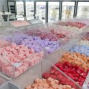 키치캐치 이미지