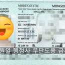 대불행정사 이미지