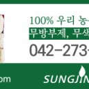 성진블루베리한과