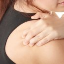 도그의 하루 이미지