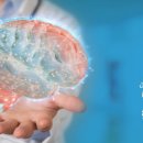 맑은 수 병원 이미지