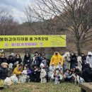 봉화강아지마을 이미지