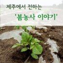 하도리 사무소 이미지