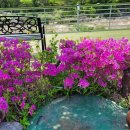 초록정원 계곡독채펜션 이미지