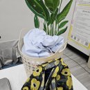 현대빨래방세탁 | 다낭 미케비치 근처 빨래방 식당 맛집 안트엉 여행자거리