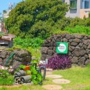 제주흑돼지전문점 꽃담 이미지