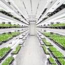 상도농장 이미지