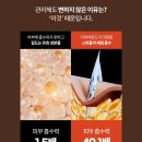 송도리탕 이미지