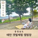 솔향기길 주차장 | 애견동반 캠핑장 태안 해루질 갯벌체험 솔향기길캠핌장 솔직후기