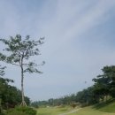 영천 시엘골프클럽 이미지