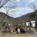 A19 | 소백산국립공원 삼가야영장 A19 사이트 후기