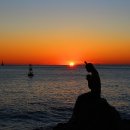 동백섬의 일출 이미지