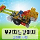 꼬리치는강아지 이미지