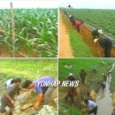 석당농장 이미지