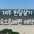 제주올래로MOON민박 | 아이와 제주도 한달살기 비용 정산 4인가족 제주 한 달 살기