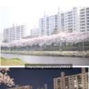 연산한양 이미지