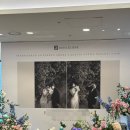 놀 | [W diary 34] 엘리에나호텔 그랜드볼룸홀 아이폰스냅 놀스냅 후기