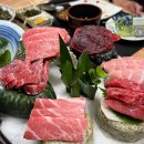 와참치 안산고잔본점 이미지