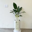 보람 당구장 이미지