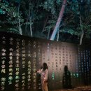 다조아통닭 | 양산 통도사, 미디어아트 관람 주차, 식당, 숙박후기
