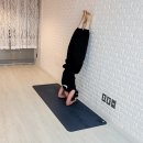 요가파라미타 | 새싹의 첫 공식 머리서기(시르사아사나) | 즐거운 차담 시간 | 100일 명상 챌린지 | 온천장 요가 파라미타
