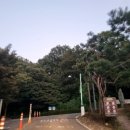 16.영인면사무소 이미지