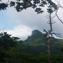 성원식당 이미지