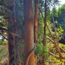 다대농장 이미지