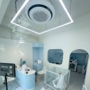 문 그루밍(Moon grooming) 이미지