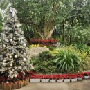 부천호수식물원 수피아 이미지