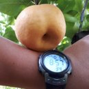 지오농장 이미지