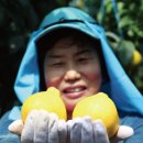 박정숙 농장 이미지