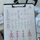 마포구청 필라테스 리오라플로우 | 임신 준비의 시작, 망원 산전산후 전문 필라테스 수업 후기