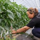 오진아 농촌치유농장 이미지