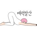 필리가 오토캠핑 이미지