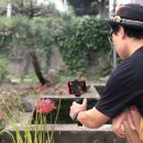 호심다방 이미지