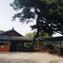 오륜대횟집