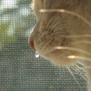 24시 블레스동물메디컬센터 이미지