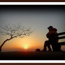 백일홍동산 이미지