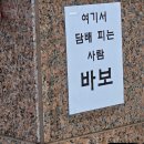 동강매운탕 | 을지로맛집 노포 동강나루터 참게메기매운탕 내돈내산 후기