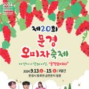 명성문경오미자