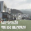펫티움애견펜션 | 강원도 홍천 펫티움애견펜션 가성비 애견동반숙소 재방문의사 백프로